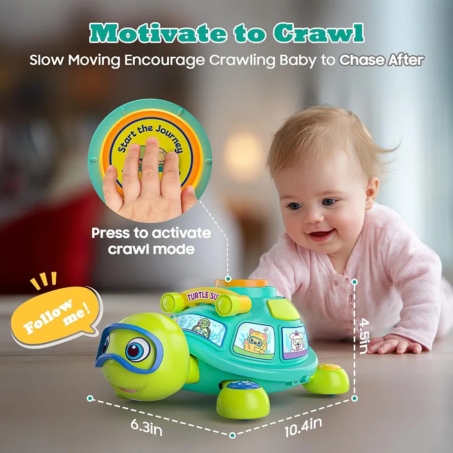 Bilingual Musical Crawling Turtle Toy