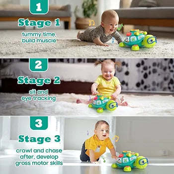 Bilingual Musical Crawling Turtle Toy